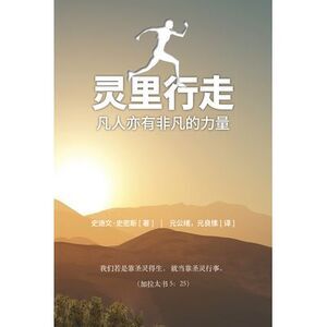 Spirit Walk (Special Edition) [Chinese] 灵里行走: The Ex